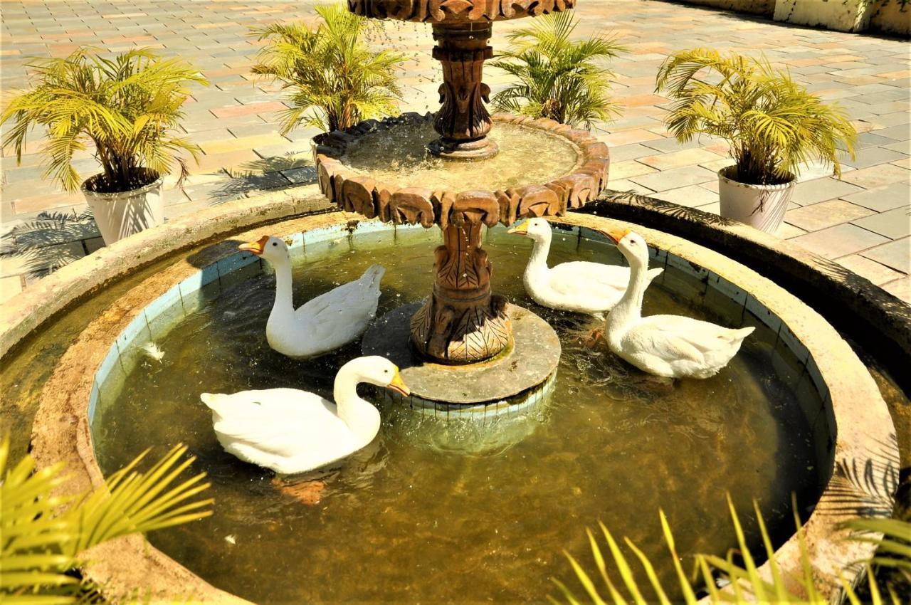 Alcor Spa Resorts Kumbhalgarh Exterior foto